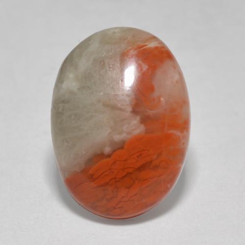 Corail multicolore naturelle coupe ovale, 4,58 ct, translucide