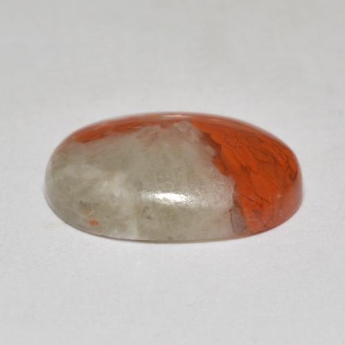 Corail multicolore naturelle coupe ovale, 4,58 ct, translucide