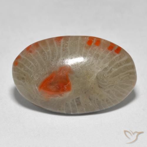 9.31ct Naturel Multicolore Corail, ovale, Translucide