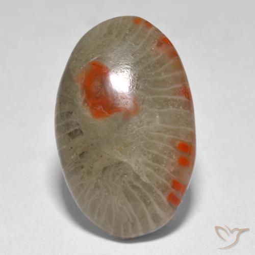 Corail Multicolore naturelle ovale, 9.31 ct, Translucide