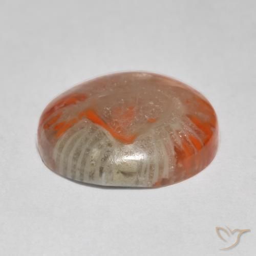 Corail Multicolore naturelle Tour, 5.76 ct, Translucide