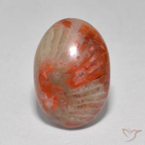 6.07ct Naturel Multicolore Corail, ovale, Translucide