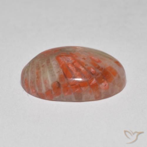 Corail Multicolore naturelle ovale, 6.07 ct, Translucide