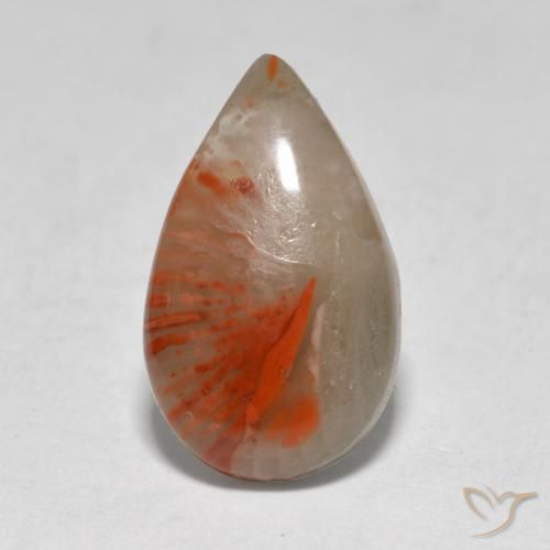 corail Multicolore naturelle En forme de poire, 4.61 ct, Translucide