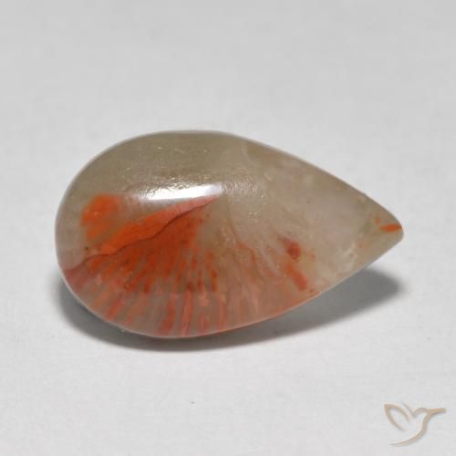 corail Multicolore naturelle En forme de poire, 4.61 ct, Translucide