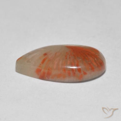 corail Multicolore naturelle En forme de poire, 4.61 ct, Translucide