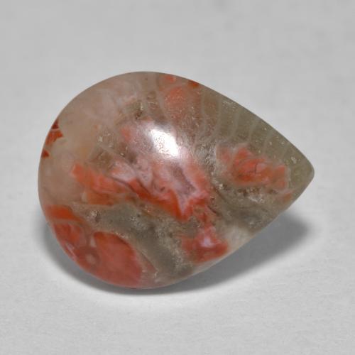 Corail multicolore naturelle en forme de poire, 3,60 ct, translucide