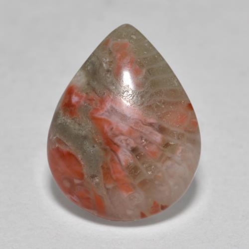 Corail multicolore naturelle en forme de poire, 3,60 ct, translucide