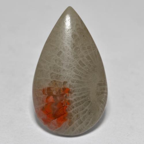 Corail multicolore naturelle en forme de poire, 10,70 ct, translucide
