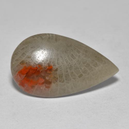 Corail multicolore naturelle en forme de poire, 10,70 ct, translucide