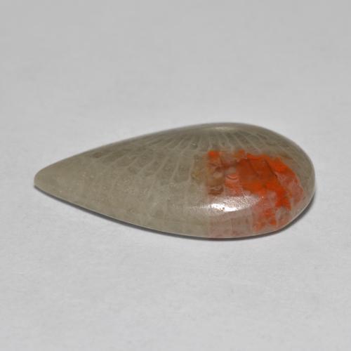 Corail multicolore naturelle en forme de poire, 10,70 ct, translucide