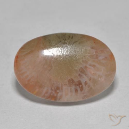 7.25ct Naturel Multicolore Corail, ovale, Translucide