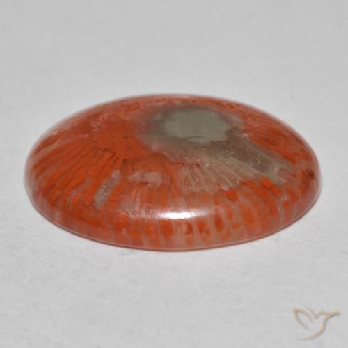 Corail multicolore naturelle coupe ovale, 8,54 ct, translucide