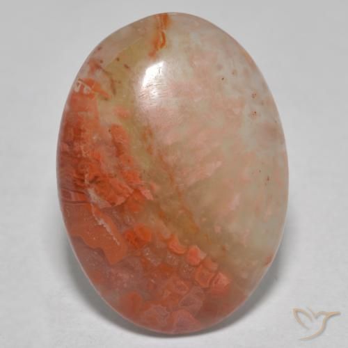 Corail Multicolore naturelle ovale, 8.13 ct, Translucide