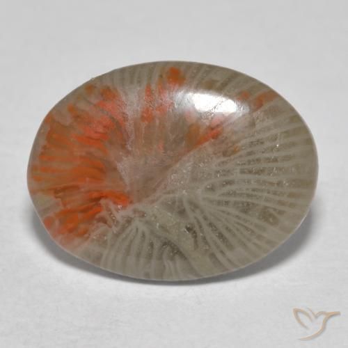 4.11ct Naturel Multicolore Corail, ovale, Translucide