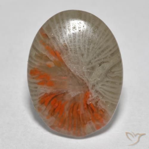 Corail Multicolore naturelle ovale, 4.11 ct, Translucide
