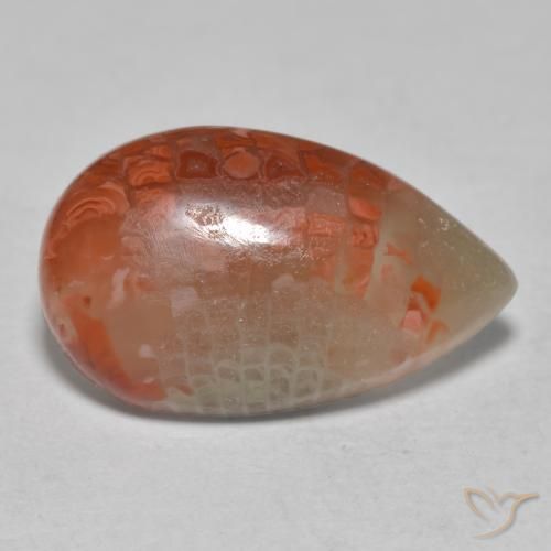 Corail Multicolore naturelle En forme de poire, 6.49 ct, Translucide
