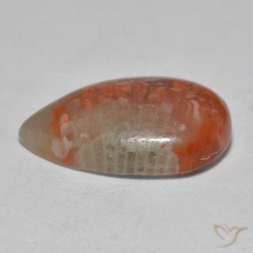 Corail Multicolore naturelle En forme de poire, 6.49 ct, Translucide