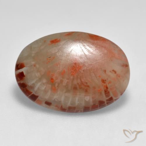 6.24ct Naturel Multicolore Corail, ovale, Translucide