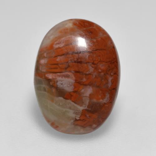 Corail Multicolore naturelle Coupe ovale, 4.12 ct, Translucide