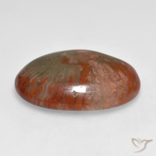 Corail Multicolore naturelle ovale, 8.55 ct, Translucide
