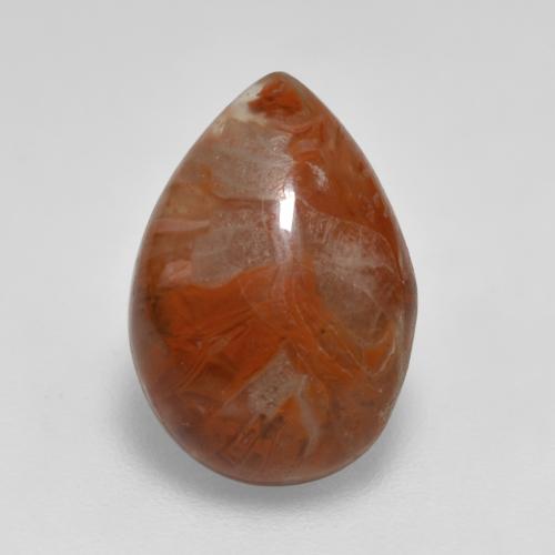 Corail Multicolore naturelle En forme de poire, 3.56 ct, Translucide