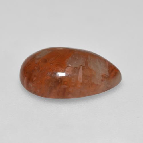 Corail Multicolore naturelle En forme de poire, 3.56 ct, Translucide