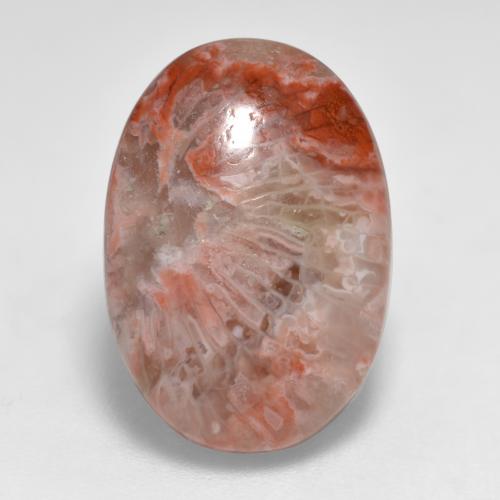 Corail multicolore naturelle coupe ovale, 7,40 ct, translucide