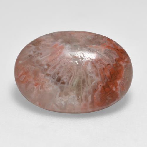 Corail multicolore naturelle coupe ovale, 7,40 ct, translucide