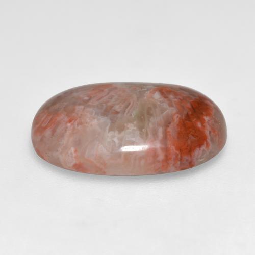 Corail multicolore naturelle coupe ovale, 7,40 ct, translucide