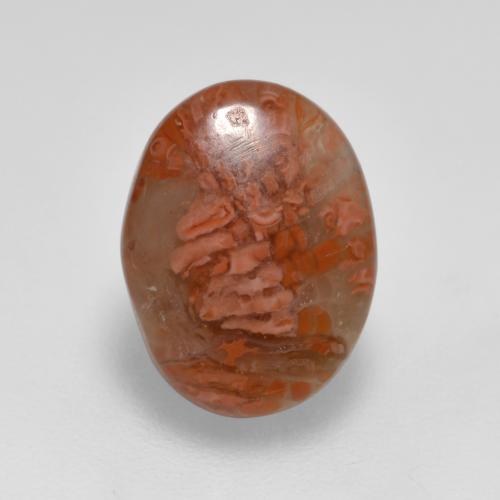 Corail Multicolore naturelle Coupe ovale, 2.52 ct, Translucide