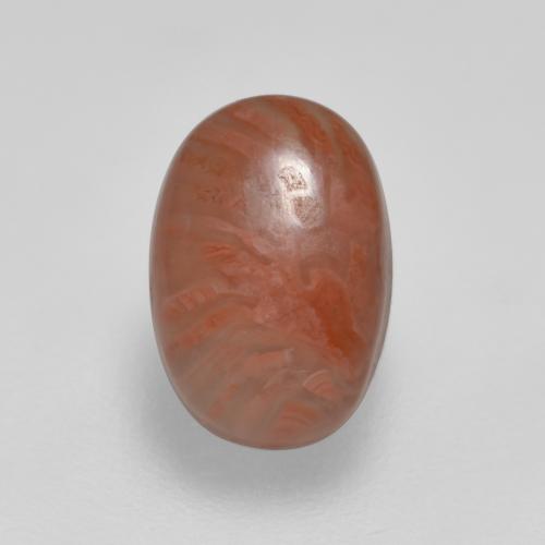 Corail multicolore naturelle coupe ovale, 2,11 ct, translucide