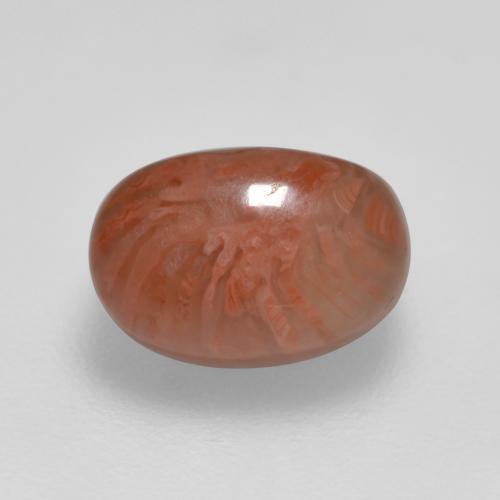 Corail multicolore naturelle coupe ovale, 2,11 ct, translucide