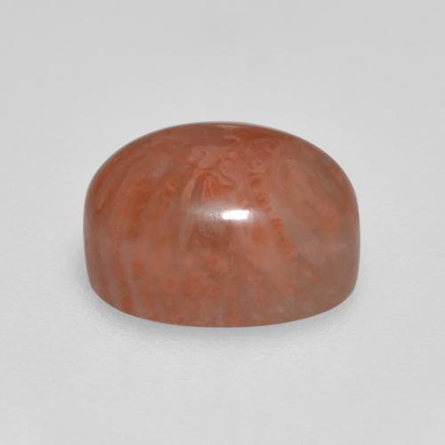 Corail multicolore naturelle coupe ovale, 2,11 ct, translucide