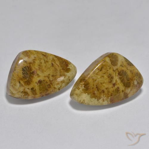 Shop natural 16.29ct Multicolore Corail gems, Fantaisie, from Indonésie at GemSelect. In stock, global shipping!
