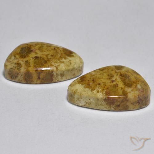 Shop natural 16.29ct Multicolore Corail gems, Fantaisie, from Indonésie at GemSelect. In stock, global shipping!