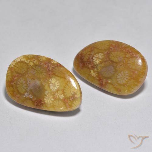 Shop natural 16.46ct Multicolore Corail gems, Fantaisie, from Indonésie at GemSelect. In stock, global shipping!