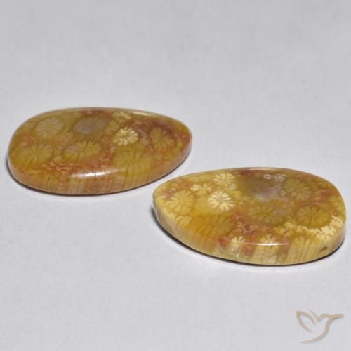 Shop natural 16.46ct Multicolore Corail gems, Fantaisie, from Indonésie at GemSelect. In stock, global shipping!
