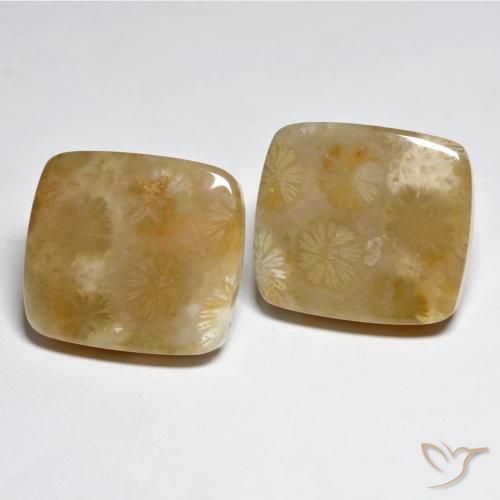 Shop natural 31.45ct Multicolore Corail gems, Coussin, from Indonésie at GemSelect. In stock, global shipping!