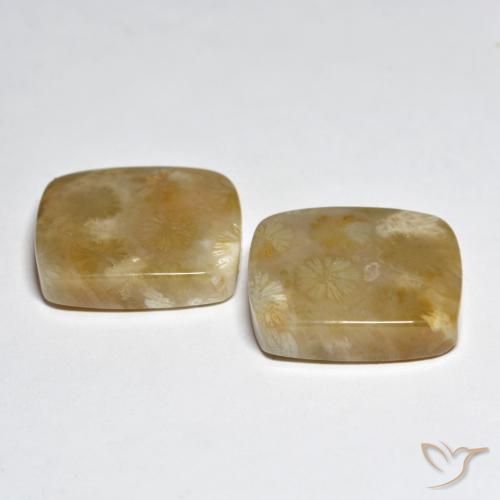 Shop natural 31.45ct Multicolore Corail gems, Coussin, from Indonésie at GemSelect. In stock, global shipping!