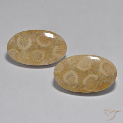 27.96ctw Naturel Multicolore Corail, ovale, Opaque