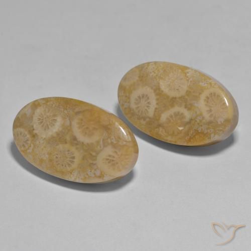 Shop natural 27.96ct Multicolore Corail gems, ovale, from Indonésie at GemSelect. In stock, global shipping!