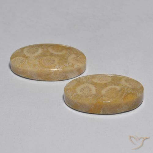 Shop natural 27.96ct Multicolore Corail gems, ovale, from Indonésie at GemSelect. In stock, global shipping!