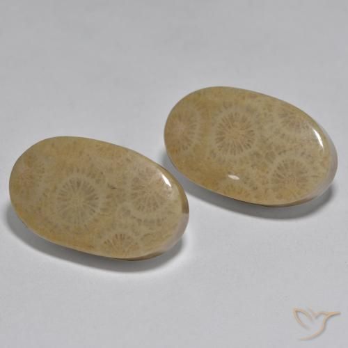 Shop natural 26.78ct Multicolore Corail gems, ovale, from Indonésie at GemSelect. In stock, global shipping!