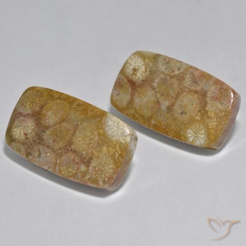 Shop natural 31.51ct Multicolore Corail gems, Coussin, from Indonésie at GemSelect. In stock, global shipping!