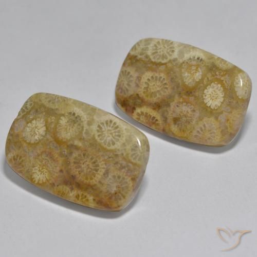 Shop natural 24.97ct Multicolore Corail gems, Coussin, from Indonésie at GemSelect. In stock, global shipping!