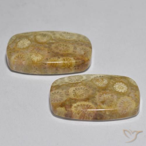 Shop natural 24.97ct Multicolore Corail gems, Coussin, from Indonésie at GemSelect. In stock, global shipping!