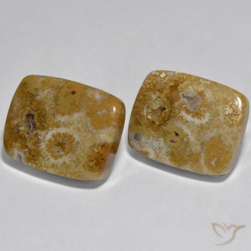 Shop natural 30.85ct Multicolore Corail gems, Coussin, from Indonésie at GemSelect. In stock, global shipping!