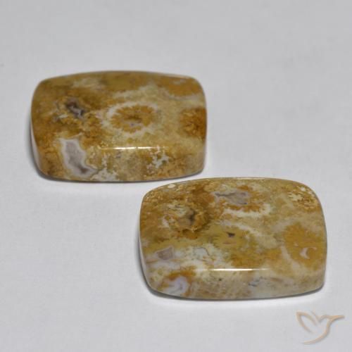 Shop natural 30.85ct Multicolore Corail gems, Coussin, from Indonésie at GemSelect. In stock, global shipping!