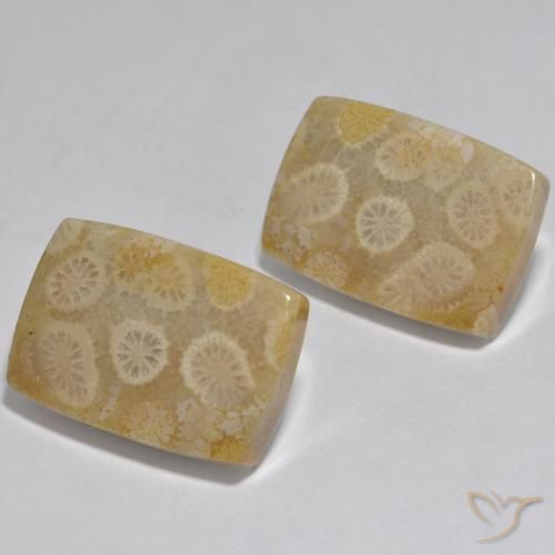 Shop natural 32.71ct Multicolore Corail gems, Coussin, from Indonésie at GemSelect. In stock, global shipping!